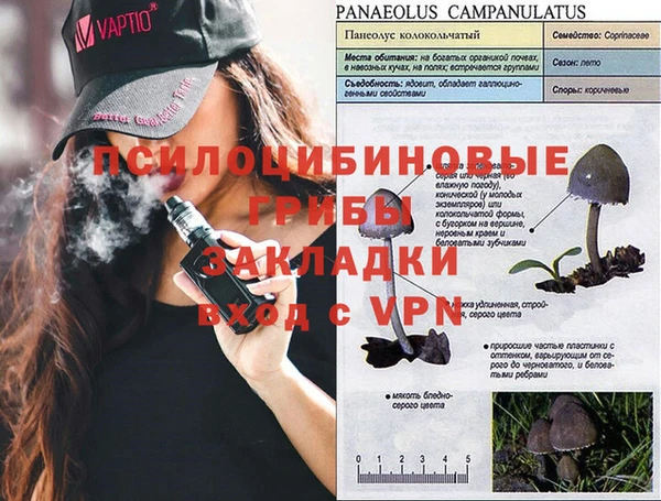 a pvp Алзамай